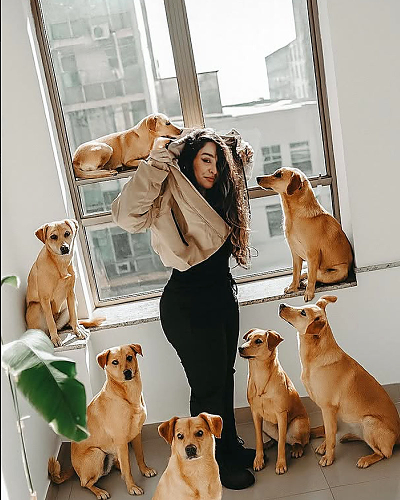 Mulher rodeada de sete cachorros numa janela